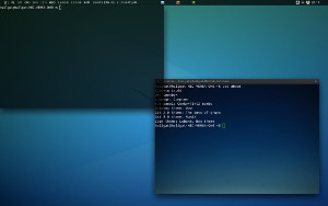 Deep blue Linux desktop