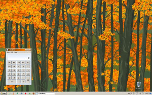 Minimal autumn Windows desktop